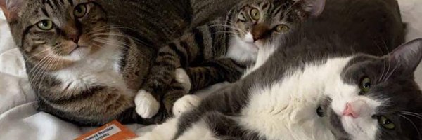 Bubrub23 Profile Banner