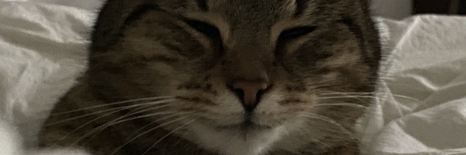 Juu banner