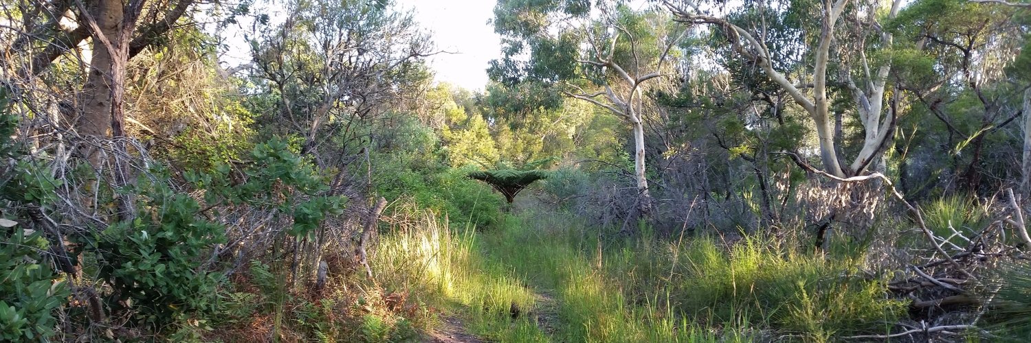 Adam Pierce 🍷 (@siliconsparrow) | Twitter