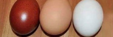 Hypno_Object's profile banner image