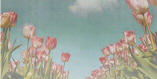 ASMA TAREK:) banner