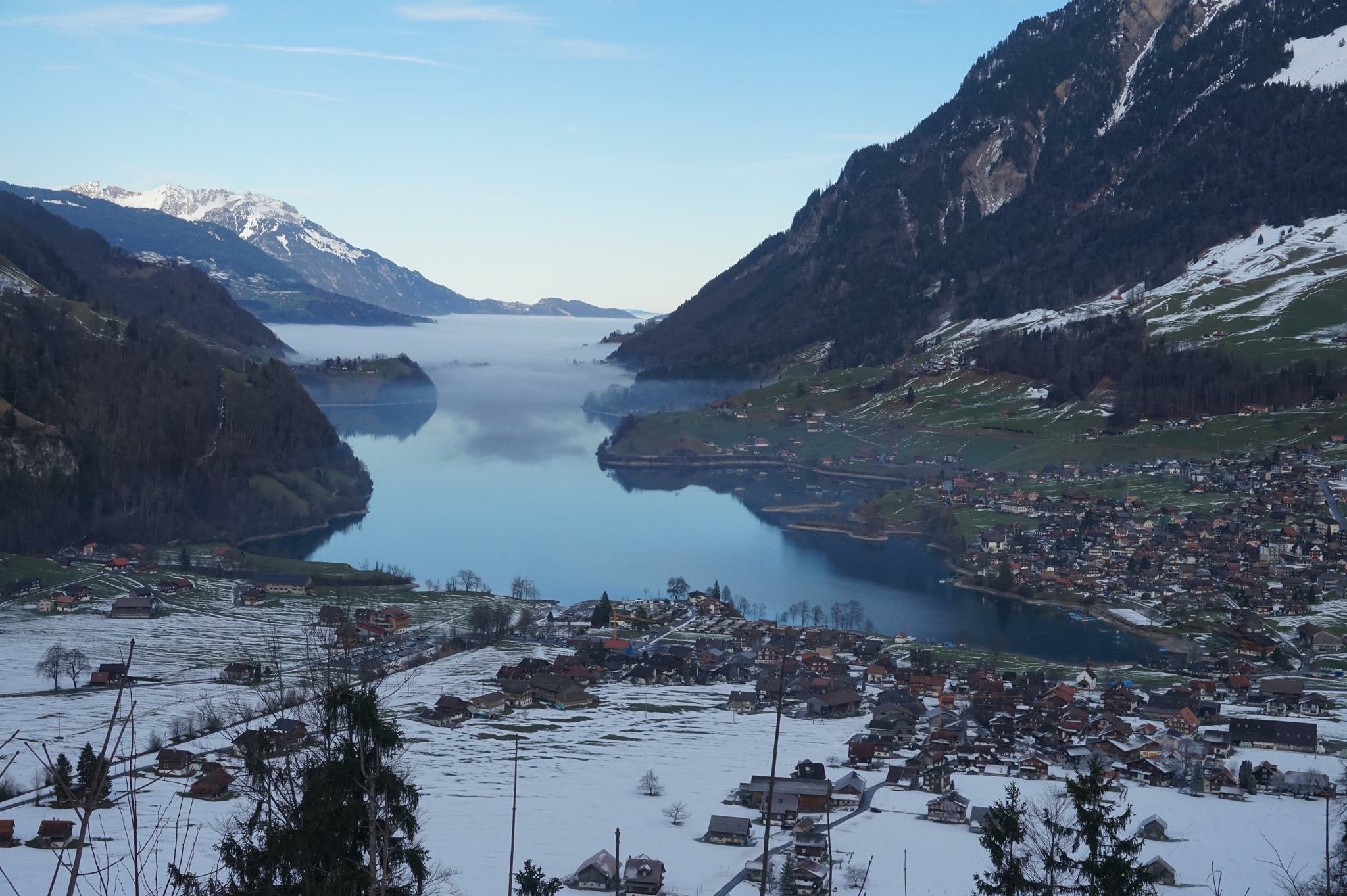 janinGermany's profile banner image