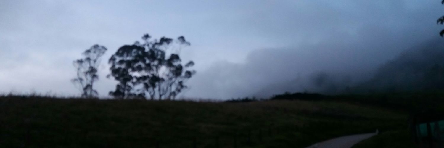 eldiegodecia's profile banner image