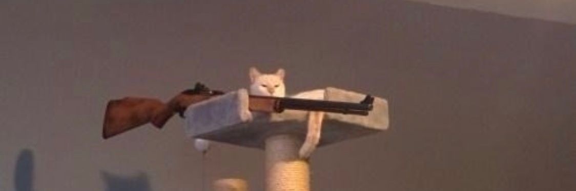 whitecat_click's profile banner image