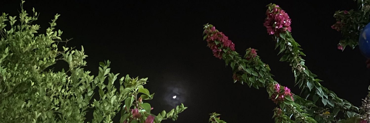 malak271's profile banner image