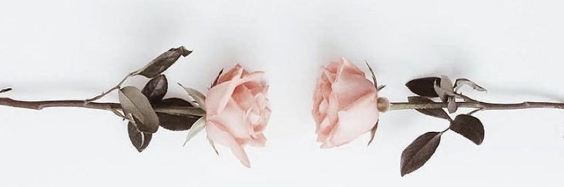 krich2296's profile banner image