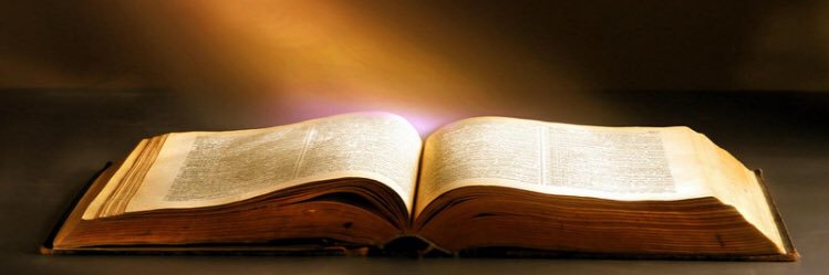 Bible__Tweets's profile banner image