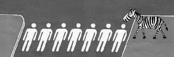 Eliana Hadjiandreou banner