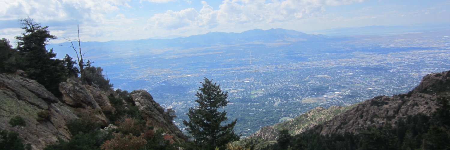 Village Idiot banner