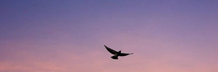 Ayteenn__'s profile banner image