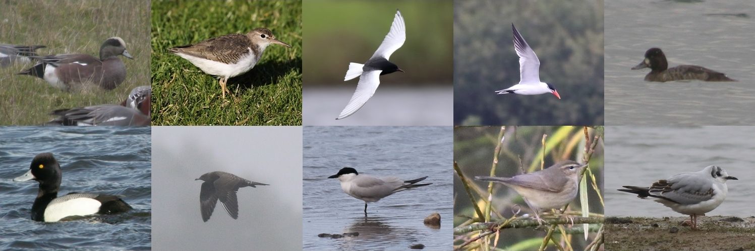 Alan_HP_Notts banner