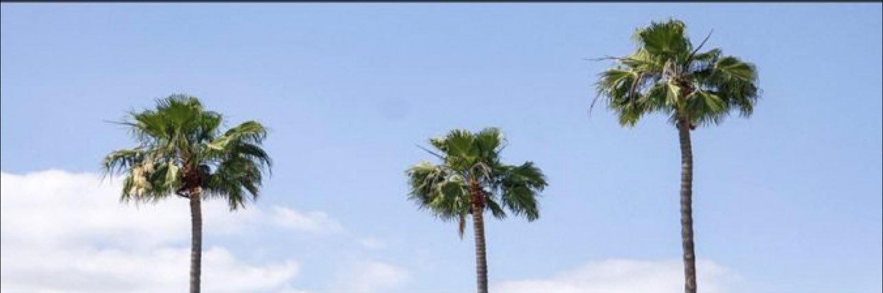 ralz64's profile banner image