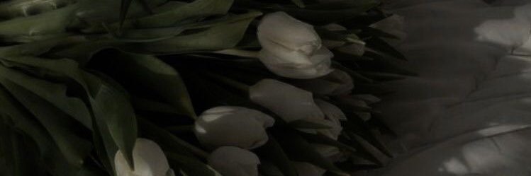 🌓 banner