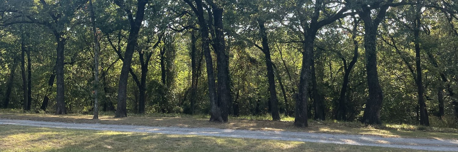 vintage pauly 📖🇺🇸 banner