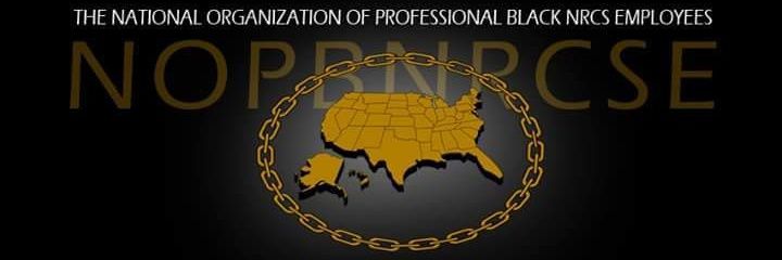 NOPBNRCSE's profile banner image
