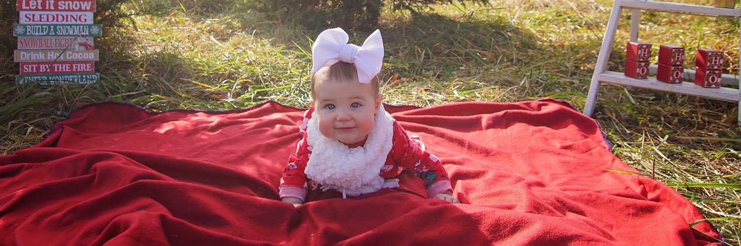 Megan Lynn Klemens banner