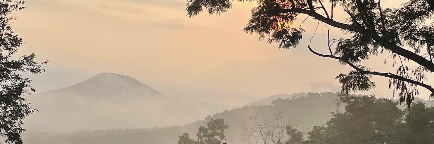 Amrutha🇺🇸 banner