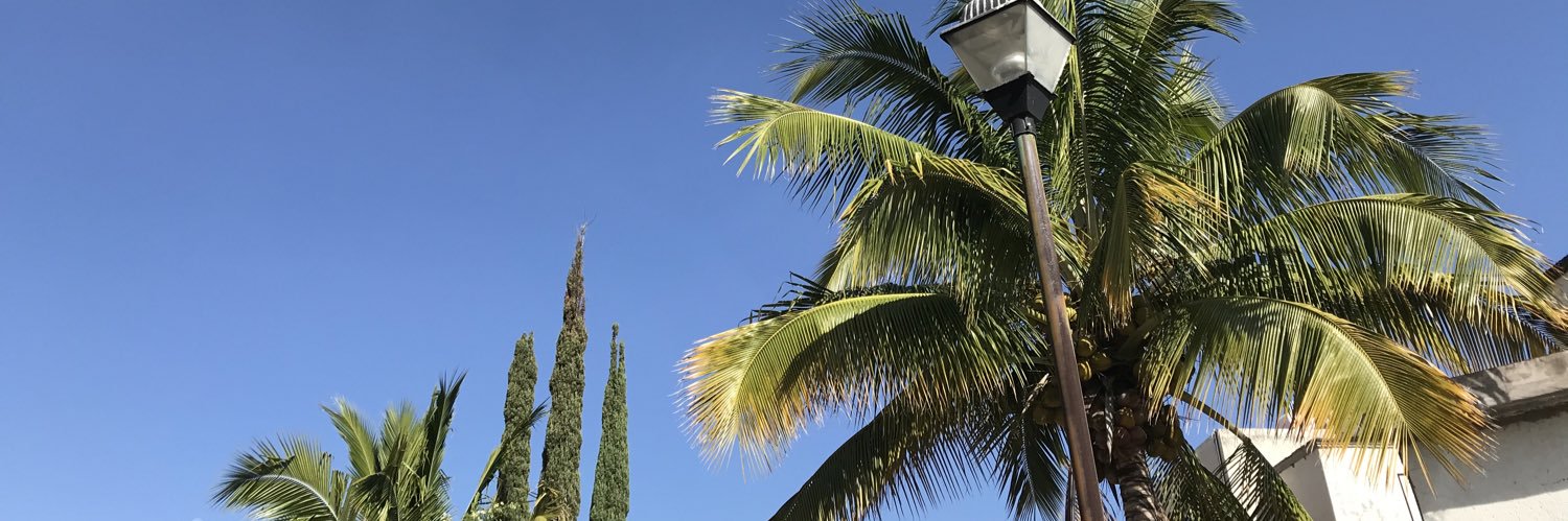 mariam campos banner