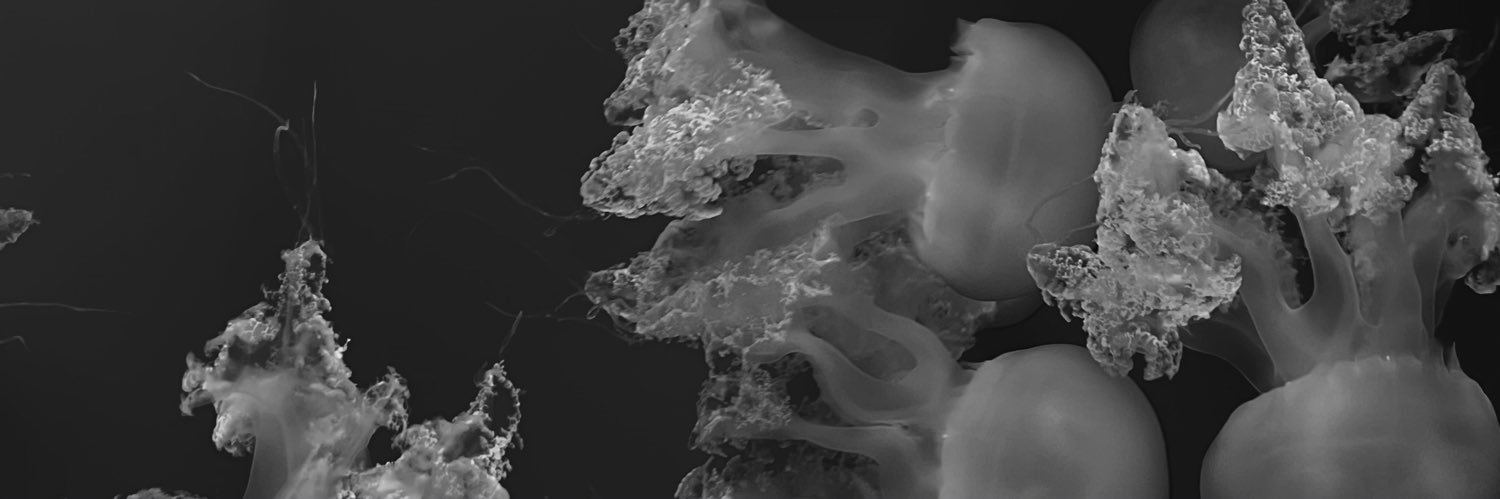 pausxn's profile banner image