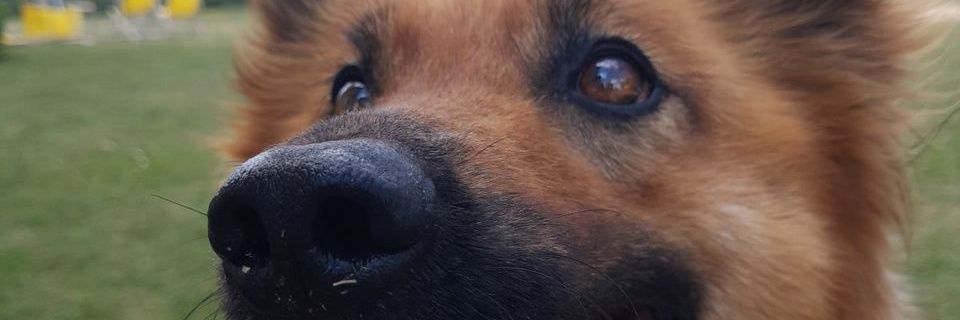 whosthattimo's profile banner image