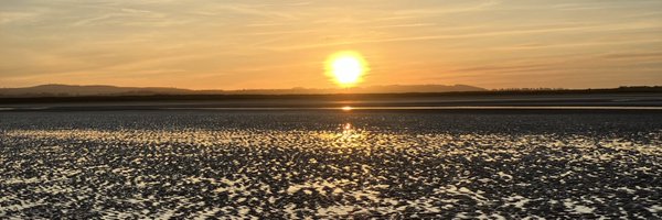 PaulaLabour Profile Banner