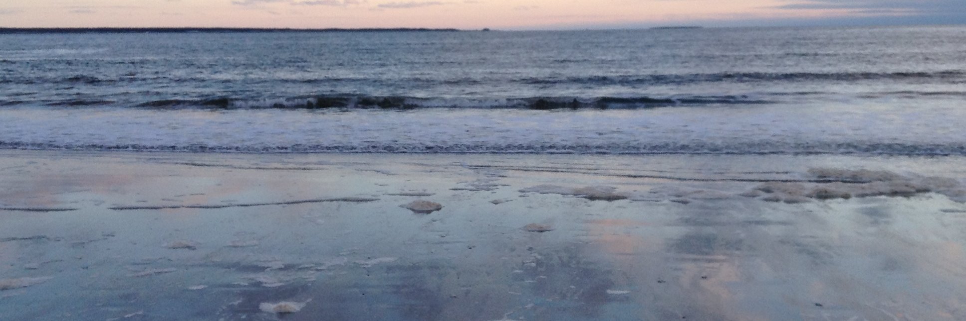 alisonetter's profile banner image