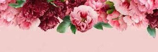 PikoOfRoses Profile Banner