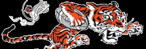 JasonWh47068239's profile banner image