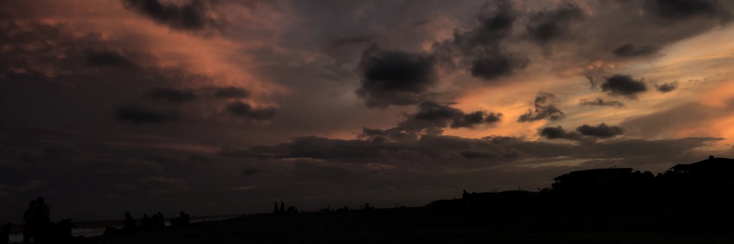 mia_herrlin's profile banner image