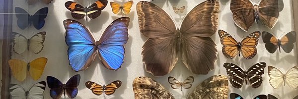 mavrilua Profile Banner