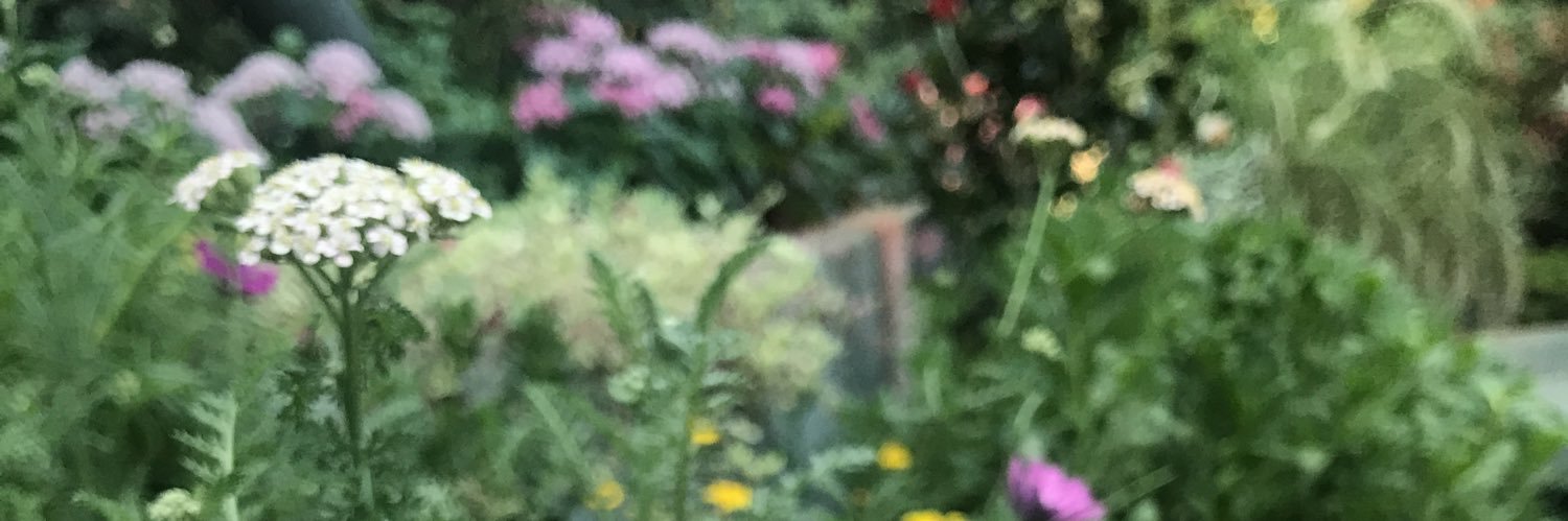 elisaaaah26's profile banner image