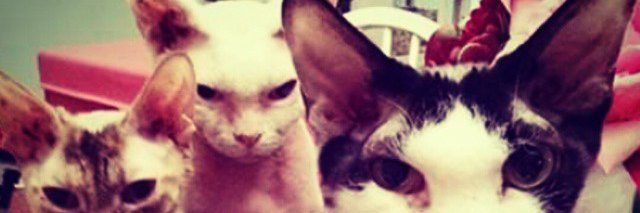 crazyjoe86's profile banner image