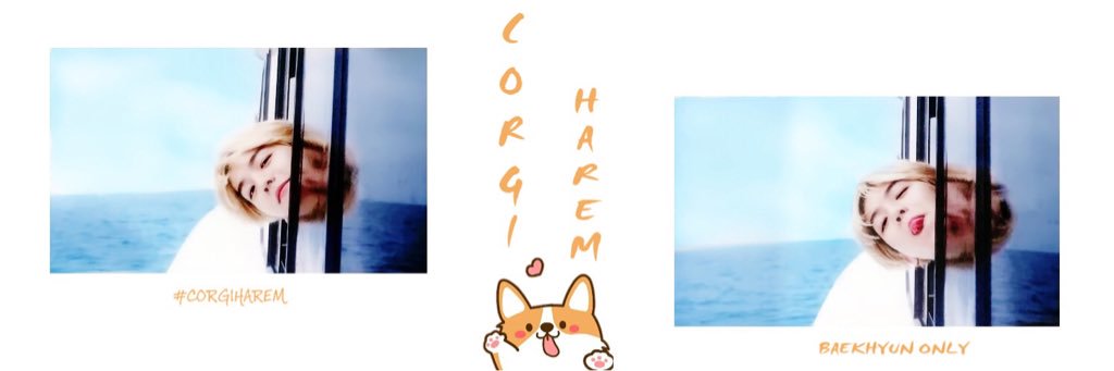 CorgiHarem_'s profile banner image