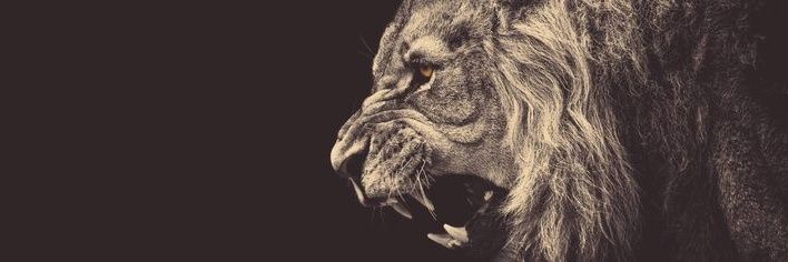 DontAngryMeee's profile banner image