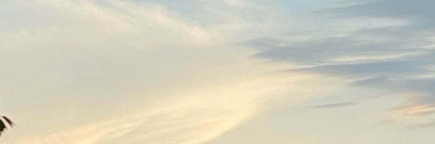 💫 banner