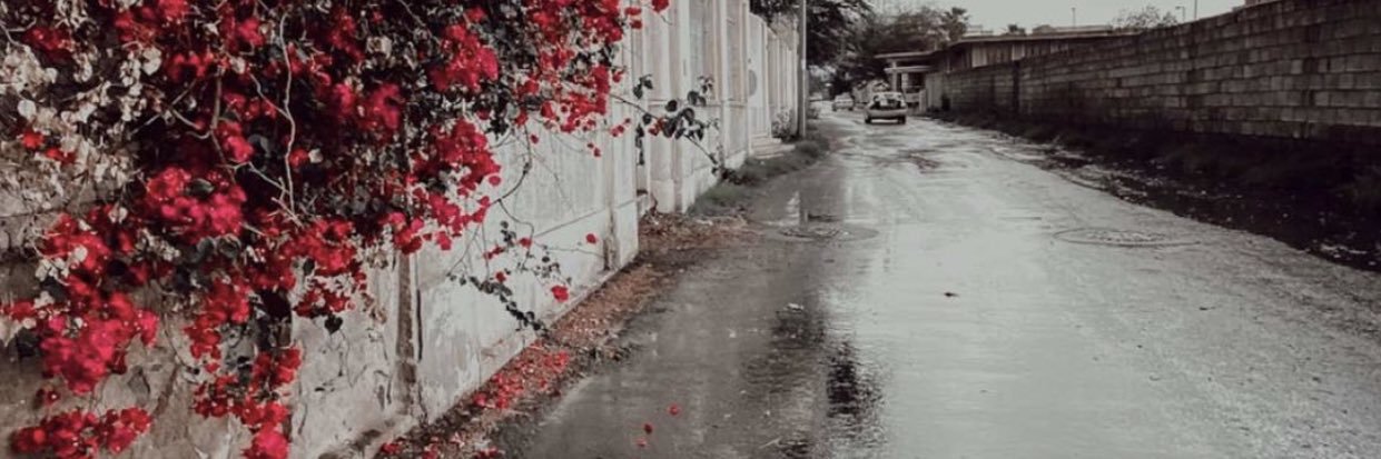 rafef_rr's profile banner image