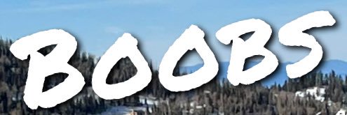 SkumFu** banner
