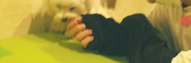 tkm_o43's profile banner image