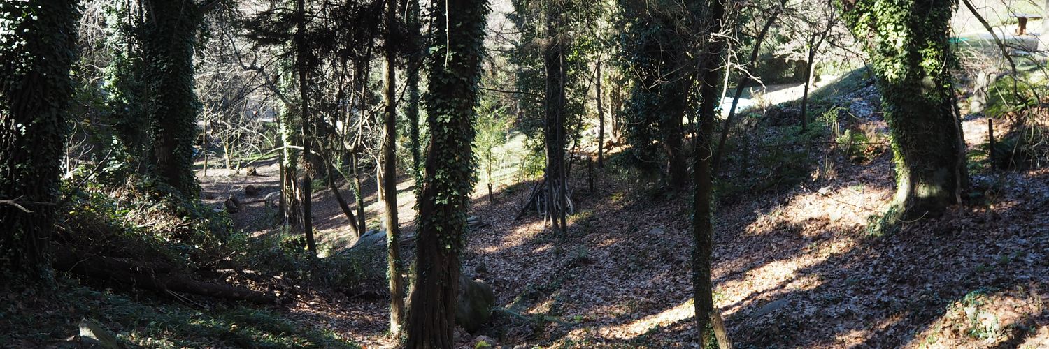 tinchomarchetti's profile banner image
