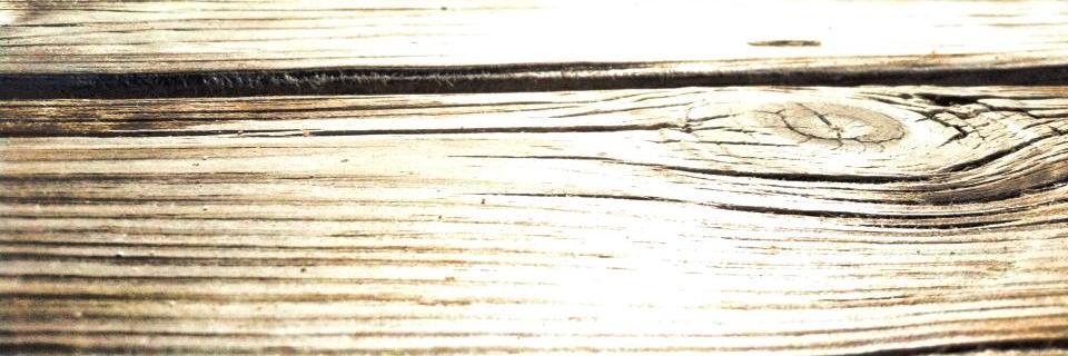 catherinetoben's profile banner image