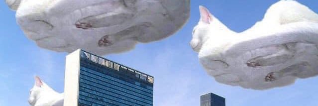 choa_guay's profile banner image