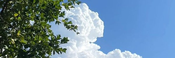 erennimox Profile Banner