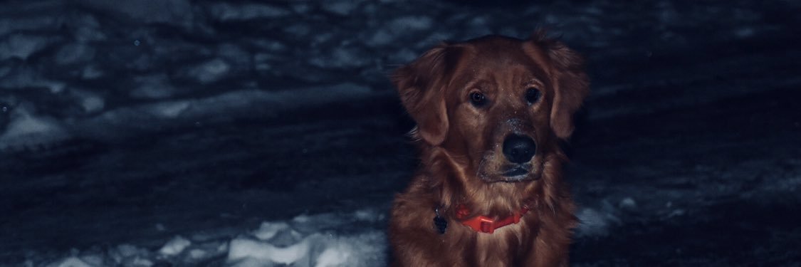 Sheriden_Davis's profile banner image