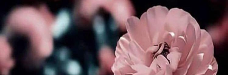 Wadha ★. banner