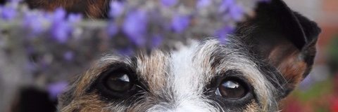 deb_double's profile banner image