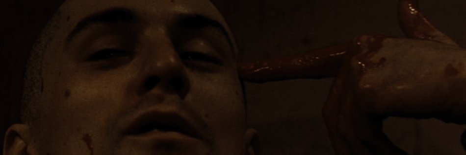 promayo2000's profile banner image