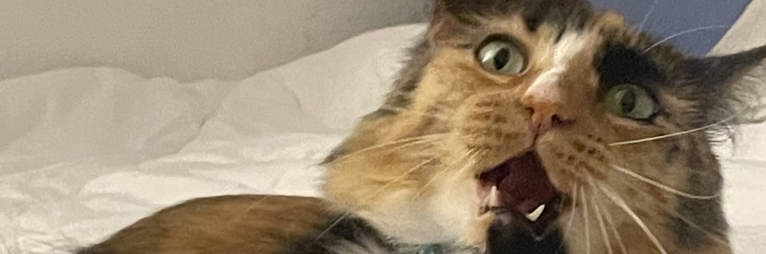 studman8's profile banner image