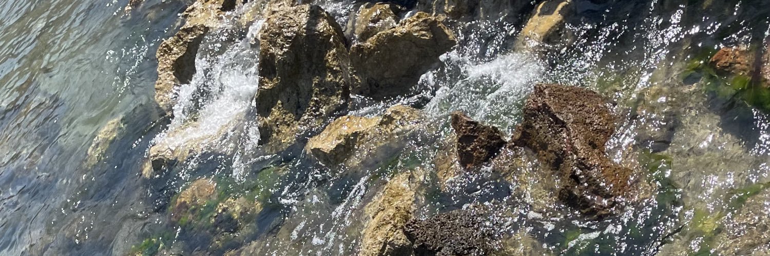 Lauren Spokes banner