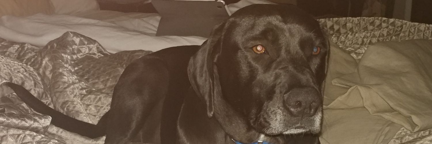 KennedyJane12's profile banner image