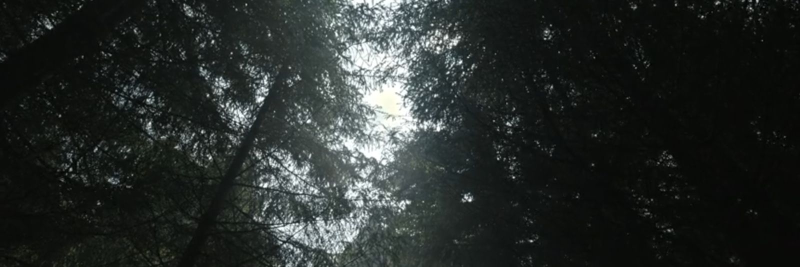ViKRaM_2512's profile banner image